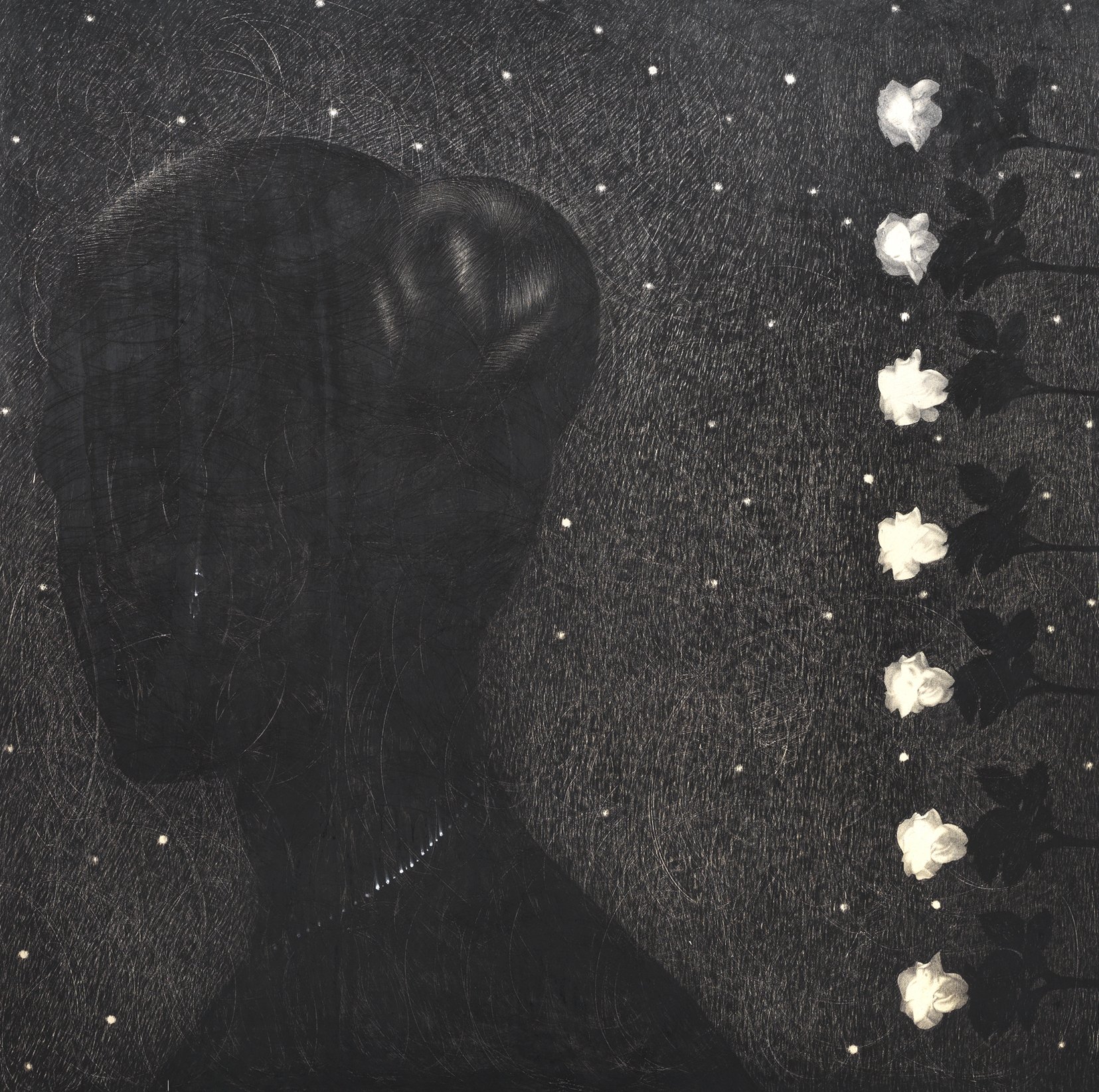 Omar Galliani, Sette rose, 2016, matita su tavola, 150x150 cm