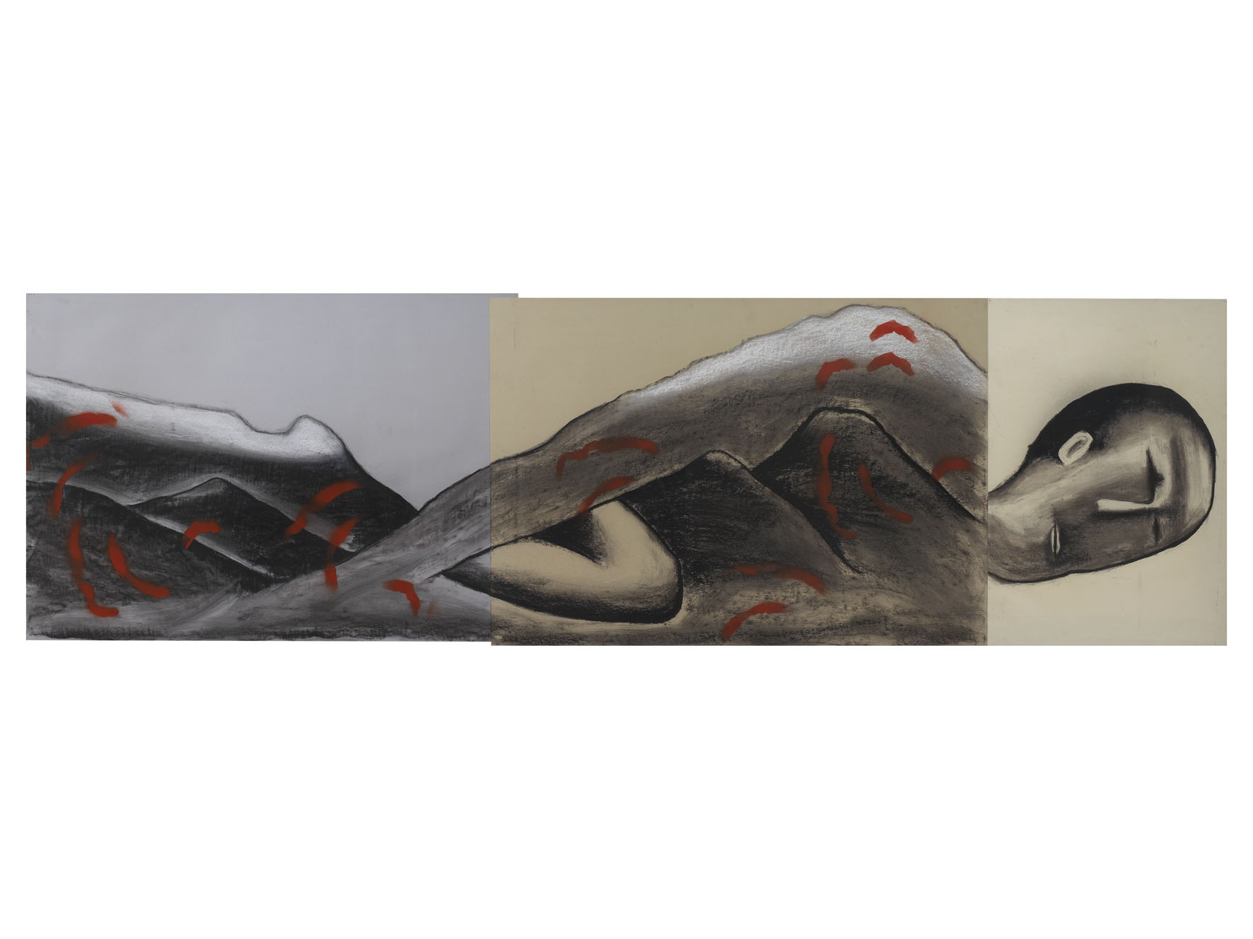 Cucchi, Predicatore n° 5, 2020