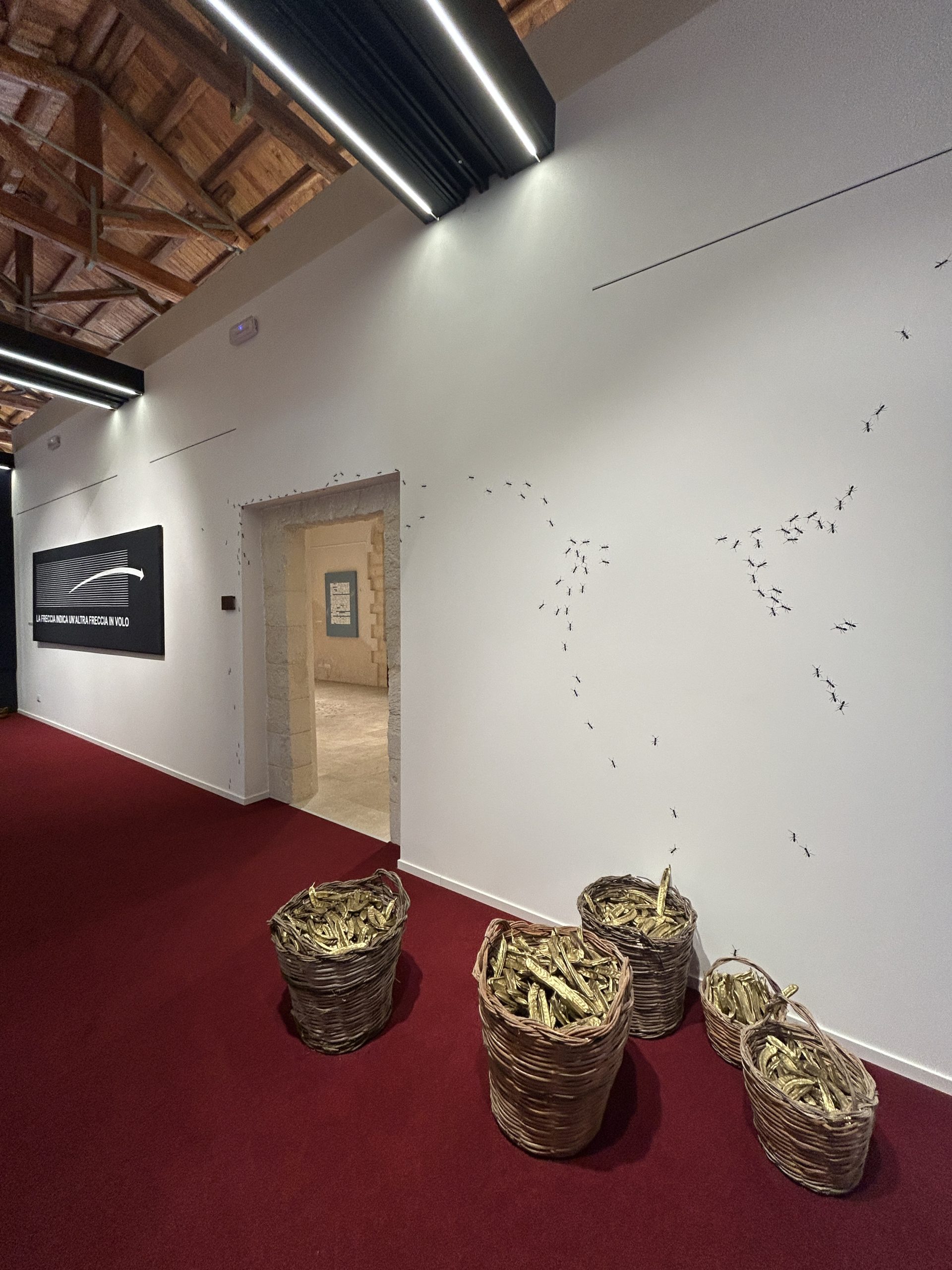 Veduta della mostra, Emilio Isgr&ograve;. L&rsquo;opera delle formiche, CAP Museo del Carmine, Scicli, 2025