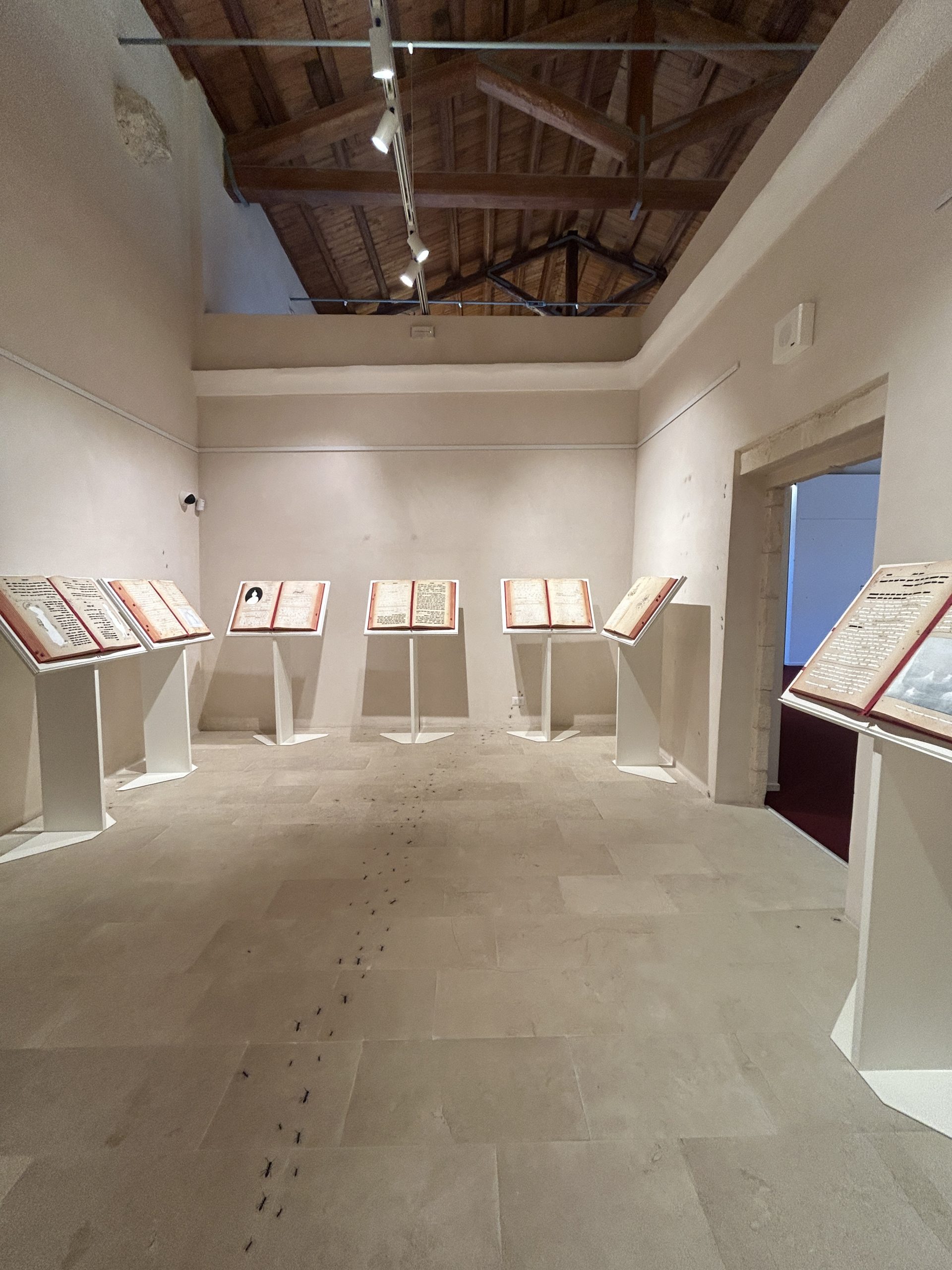 Veduta della mostra, Emilio Isgr&ograve;. L&rsquo;opera delle formiche, CAP Museo del Carmine, Scicli, 2025